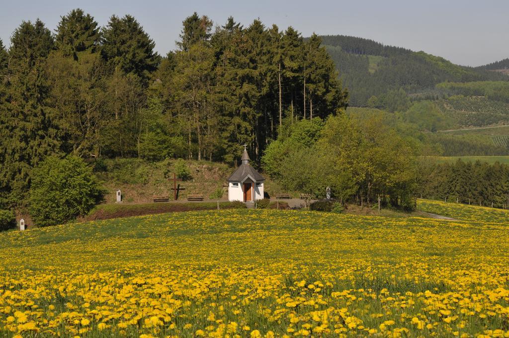 Wuellner'S Landgasthof Schmallenberg Extérieur photo