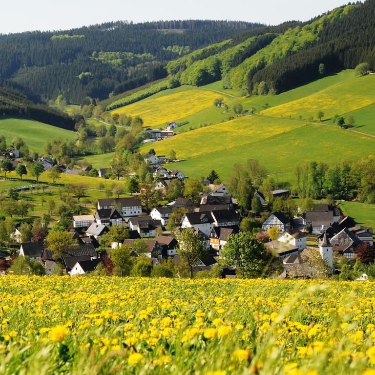 Wuellner'S Landgasthof Schmallenberg Extérieur photo
